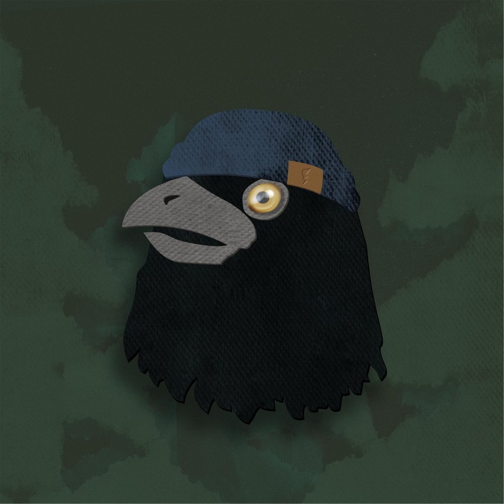 Storm crow