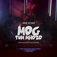 artist-cover