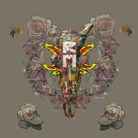 artist-cover