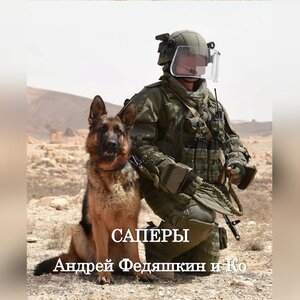 Андрей Федяшкин и Ко