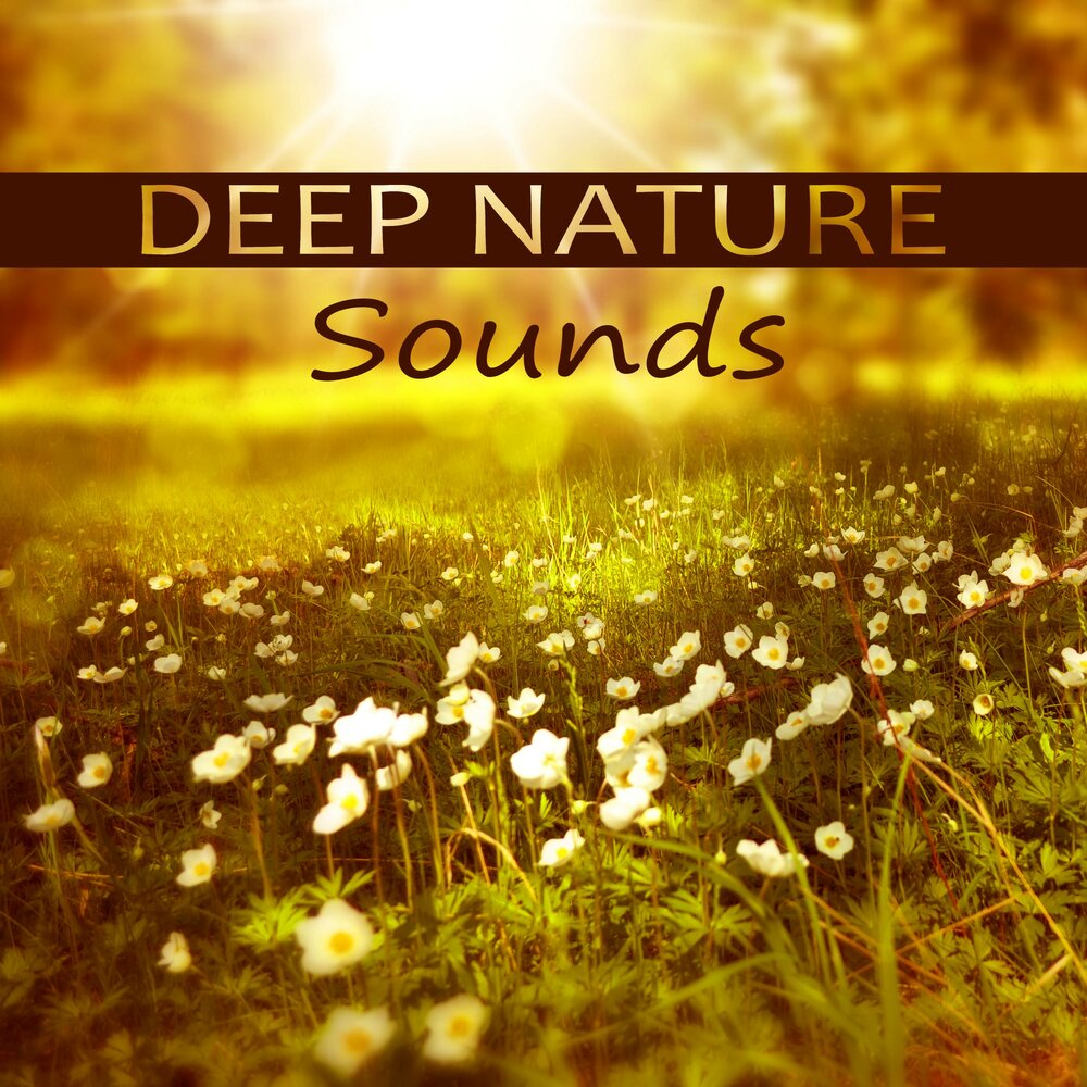 Дип природа. Deep Music nature. Close to nature. Listen to nature Sounds. Be close to nature