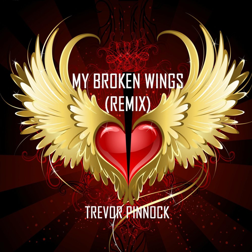 Песня broken wings. Broken Wings dal. Брокен Вингс. Broken Wings.