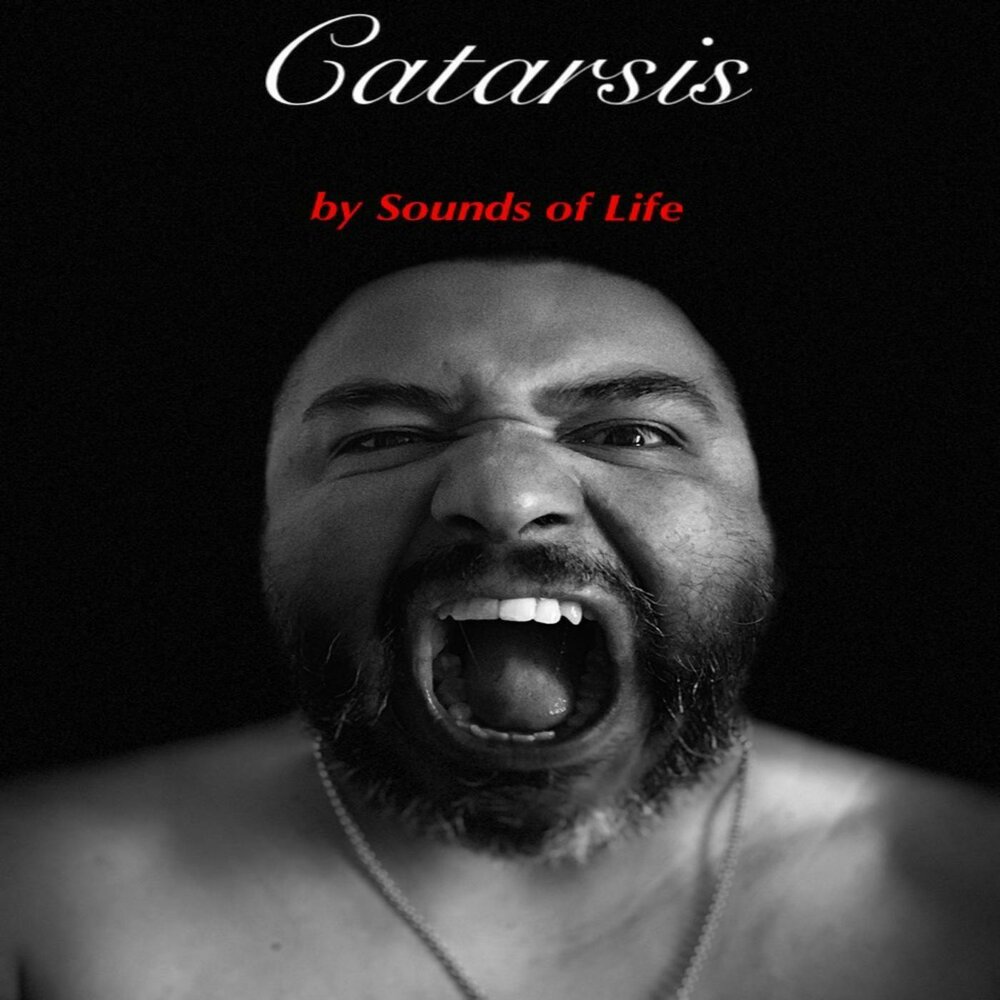 Armin van buuren, perpetuous dreamer - the sound of goodbye. The sound of goodbye armin van buuren rr remix. Notion обложка песни. Doppenberg goodbye. Perpetuous dreamer - the sound of goodbye.