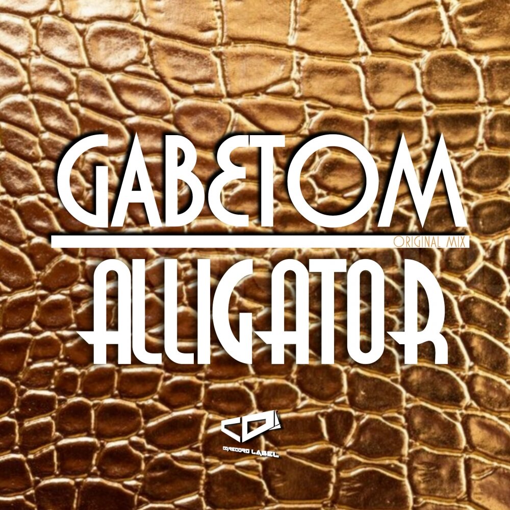 Альбомы аллигатора. Alligator альбом. Music Alligator лейбл. Music Alligator отзывы.