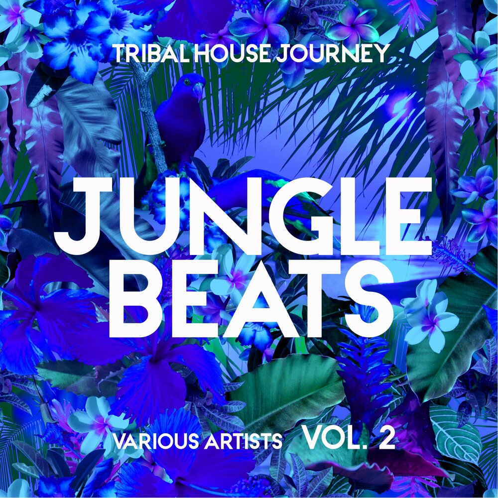 Jungle Beat. Light experience one - Jungle Life.