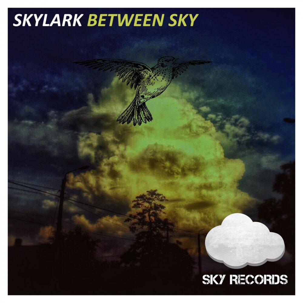 Skylark группа альбомы. Небо Рекордс. Skylark Tonight. Skylark Dreamer. Небо слушать саундтреки
