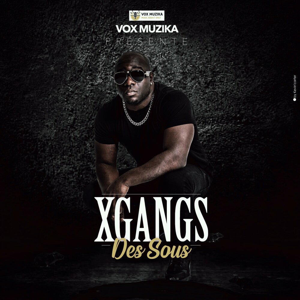 Вмс польши обзаведутся французскими подлодками scorpene. Французские подлодки скорпене. Sou mv. Трансильвания на карте. Des sous.