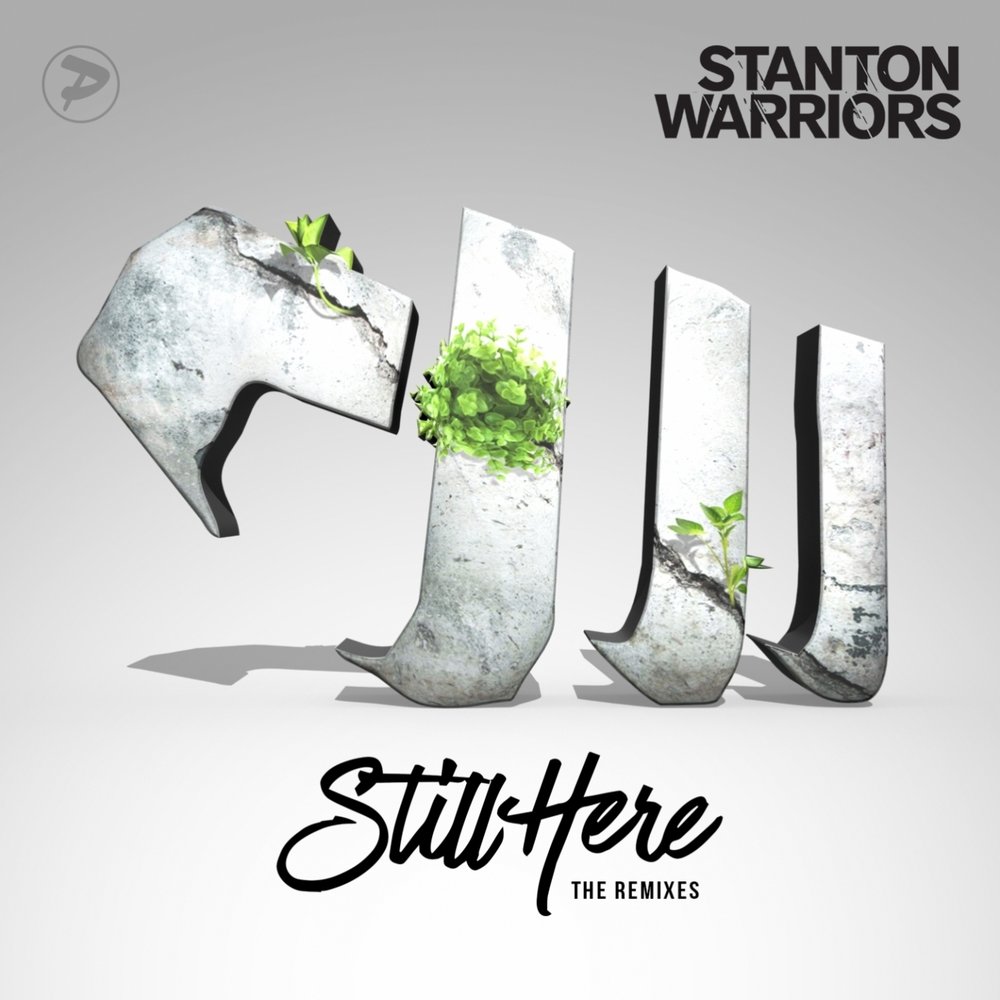 Stanton Warriors, альбомы. Stanton Warriors - Precinct. Stanton Warriors Rise. Stanton warriors