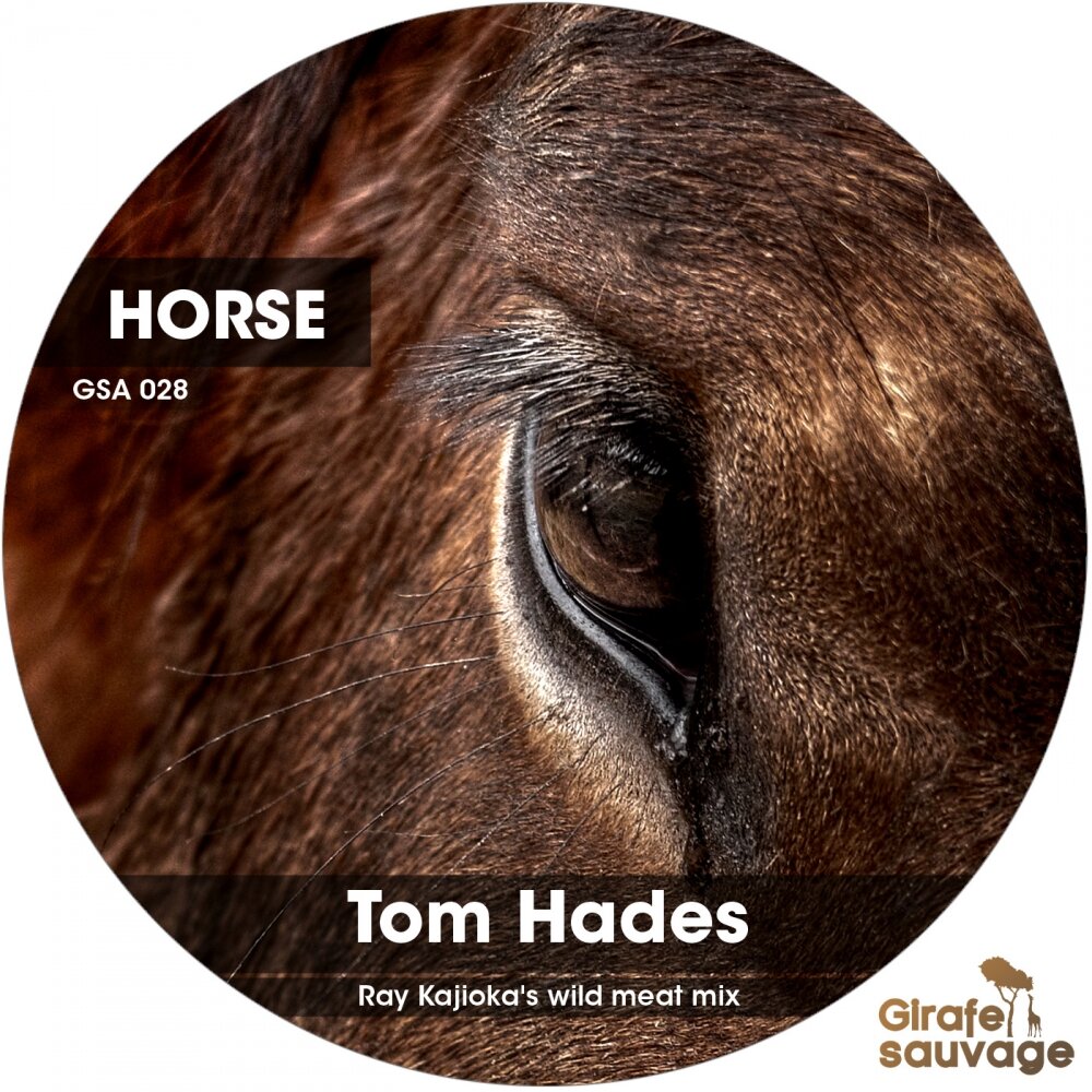 Хорс слушать. Horses альбом. Horse музыкальный альбом. Ту Хорс. Tom Hades.
