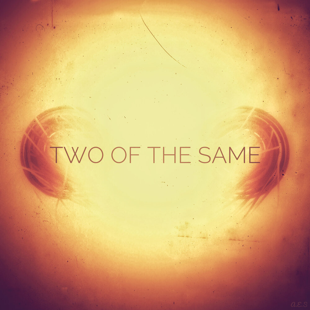 Alex adam. Alex clare tail of lions. Kara boye. Alex same. Alex boye.