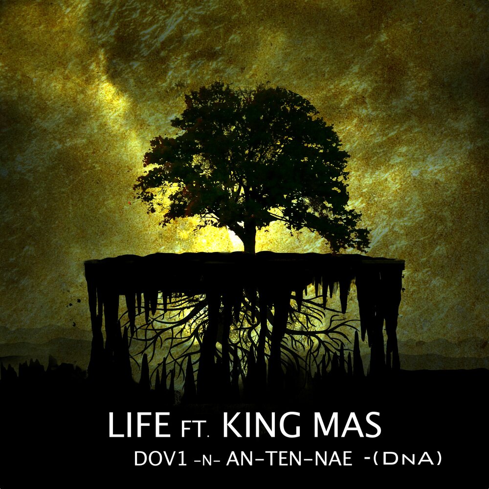 Life is king. King of Life. Мас Кинг ашка. King (feat. 天馬司 & 神代類). Мас Кинг 1200.