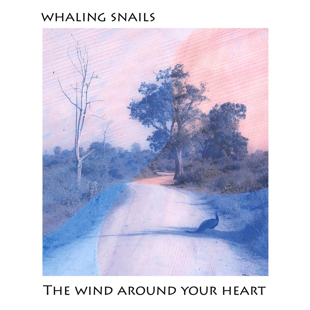 Ветряные электростанции (вэс). Wind around. Порт мукран засниц. Мукран германия. Ветровая электростанция астана expo-2017.