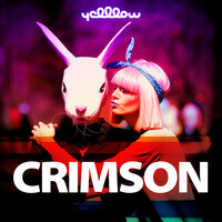 artist-cover