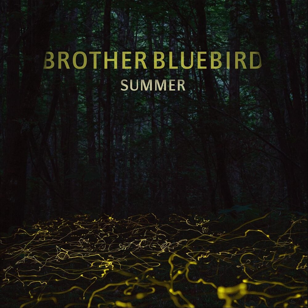 Brother дискография. Bluebird слушать. Блюберд слушать.