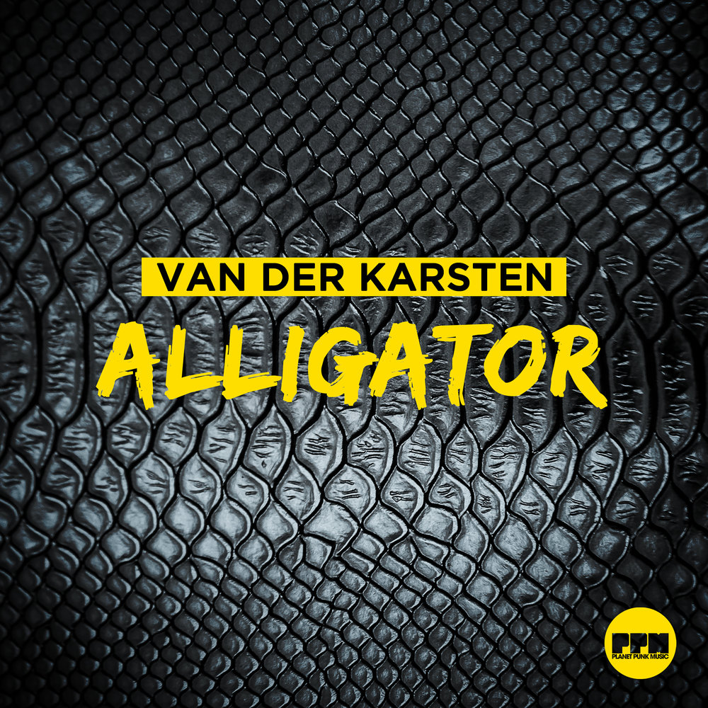 Music Alligator дистрибьютор. Music Alligator отзывы. Музыка и песни аллигатора.