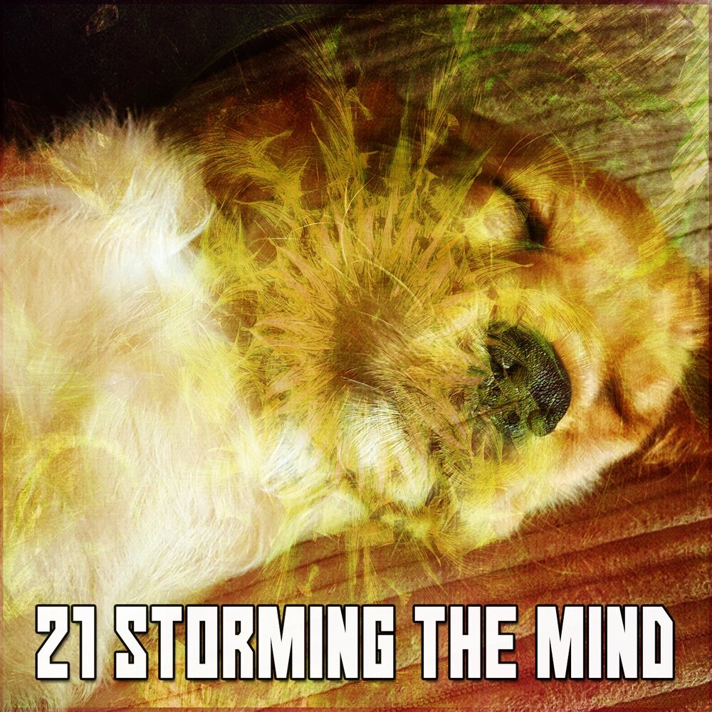Conscience sleeps in thunder. Conscience sleeps in thunder