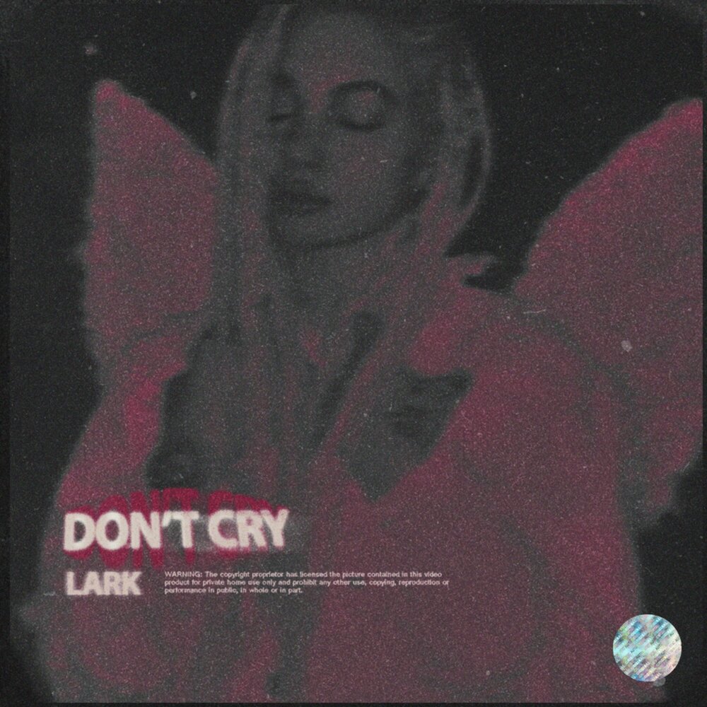 Песня dont cry dont cry. Don't Cry альбом. Don't Cry песня. Новая песня don't Cry. Don't Cry.