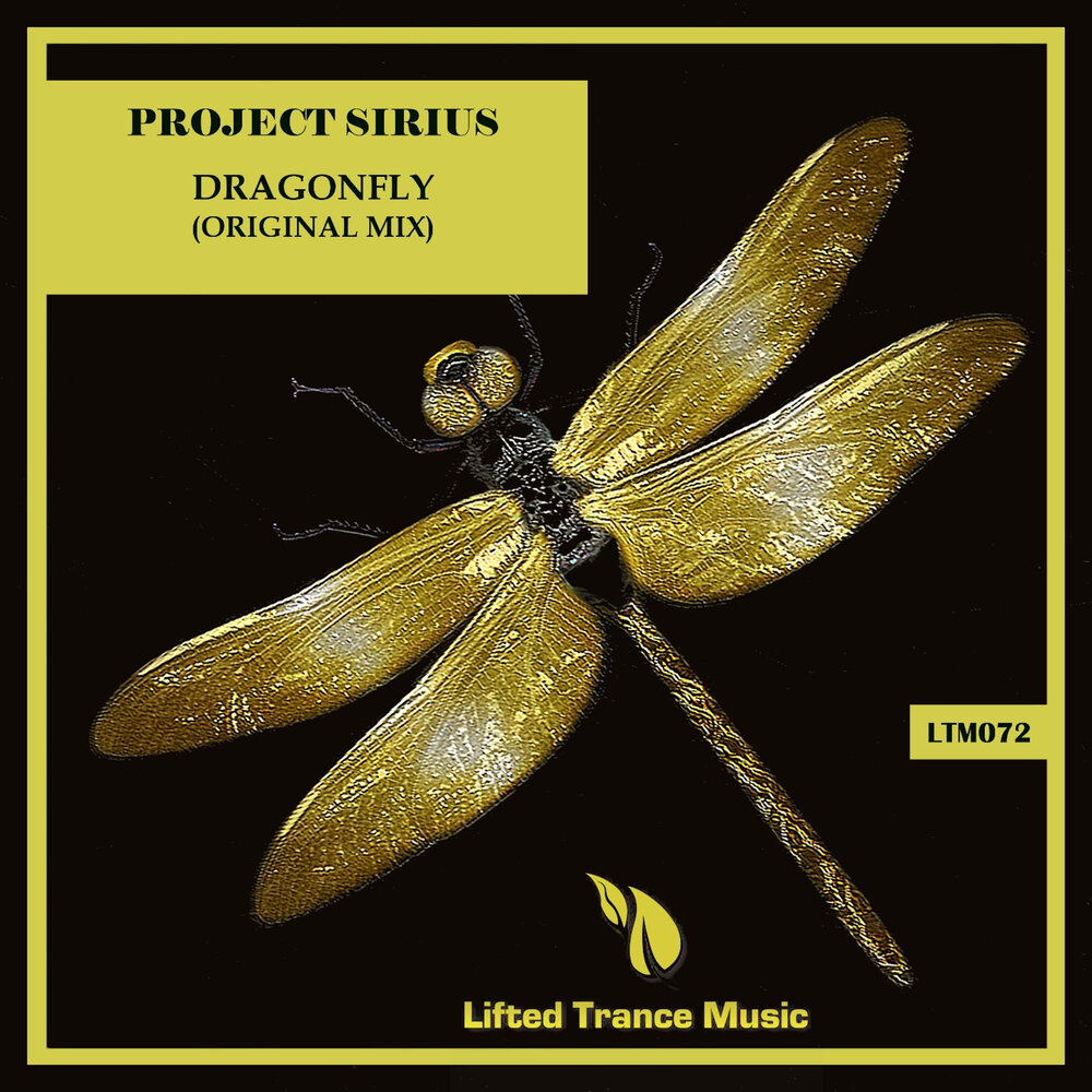 Стрекоза карандашом. Красная стрекоза. Ghost mantis 3d. Волшебная стрекоза. Dark project dragonfly.