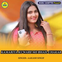 artist-cover