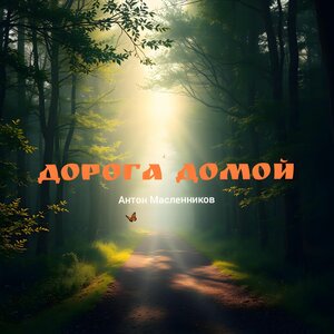 Дорога домой