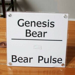 Bear Pulse