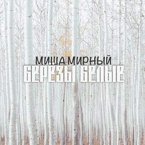 Берёзы белые