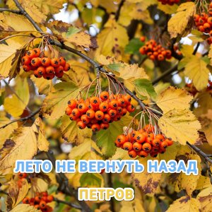 Лето не вернуть назад