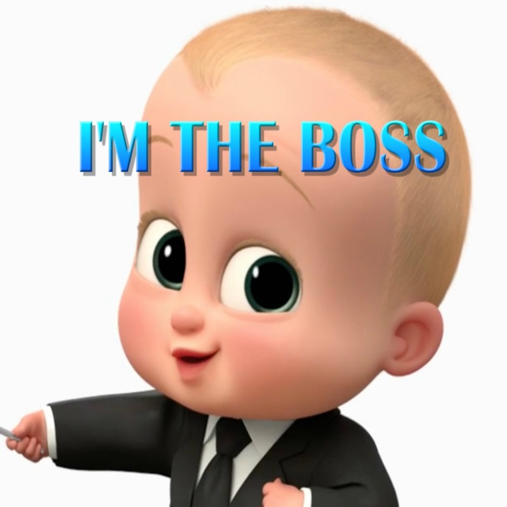 Baby i m boss