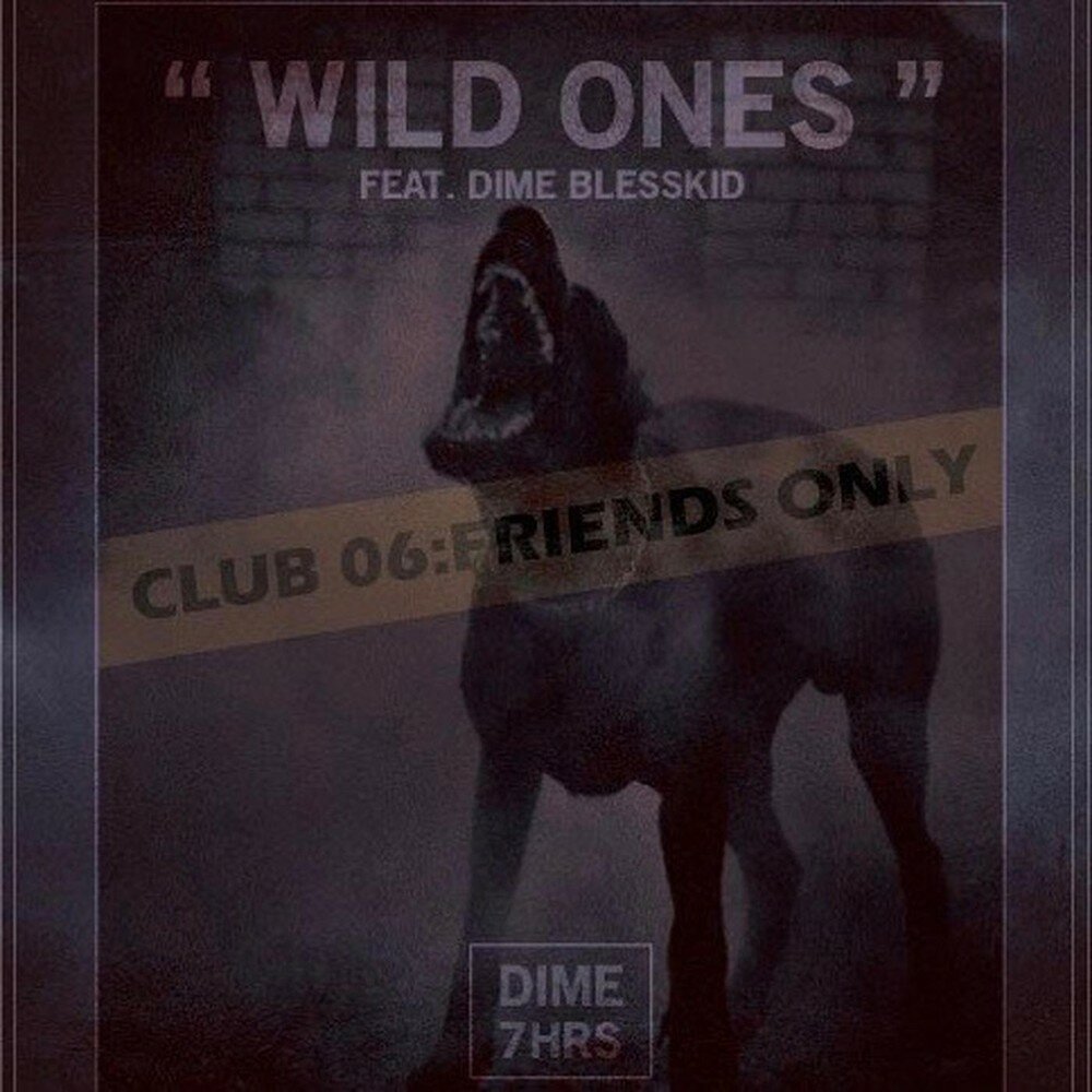 Wild ones перевод. Wild one текст. 7dime. Дикий 1 музыка. Альбом песни hrs and hrs.