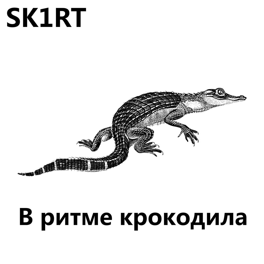 Парадокс крокодила. Тест два крокодила. Формула крокодила. Крокодил по Музыке.