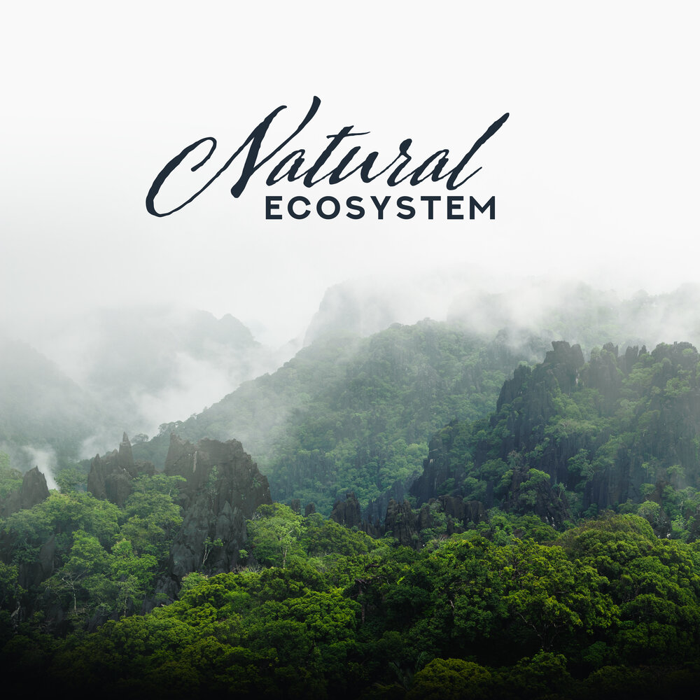 Meditation Music , nature Sounds. Natural Sounds. Natur age. Mother nature Sound FX Relaxing Music. Natural 2019
