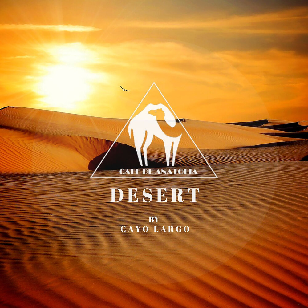 Zia music desert. Музыка пустыни. Песня пустыни. Таинственный альбом пустыня. Desert музыка без рекламы.