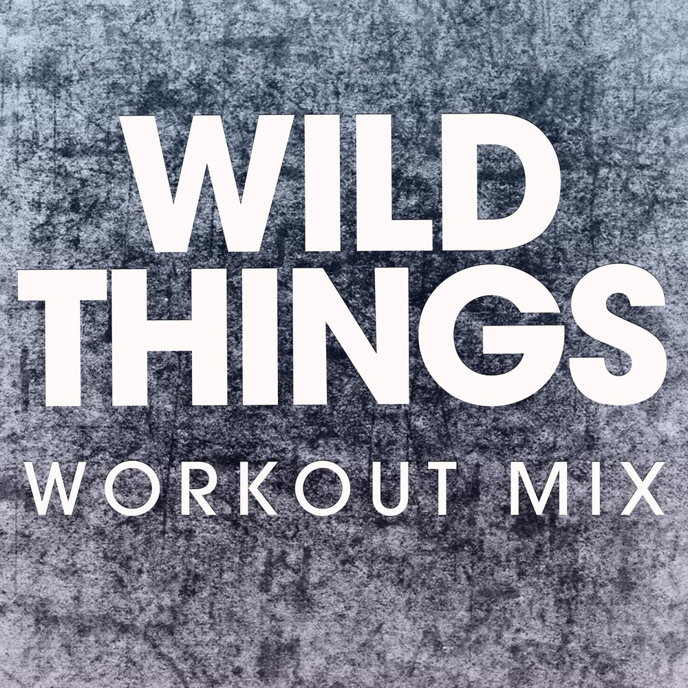Песню вилд. The Wild things. Things work out. Wild Mix. Power Music Workout — animals.