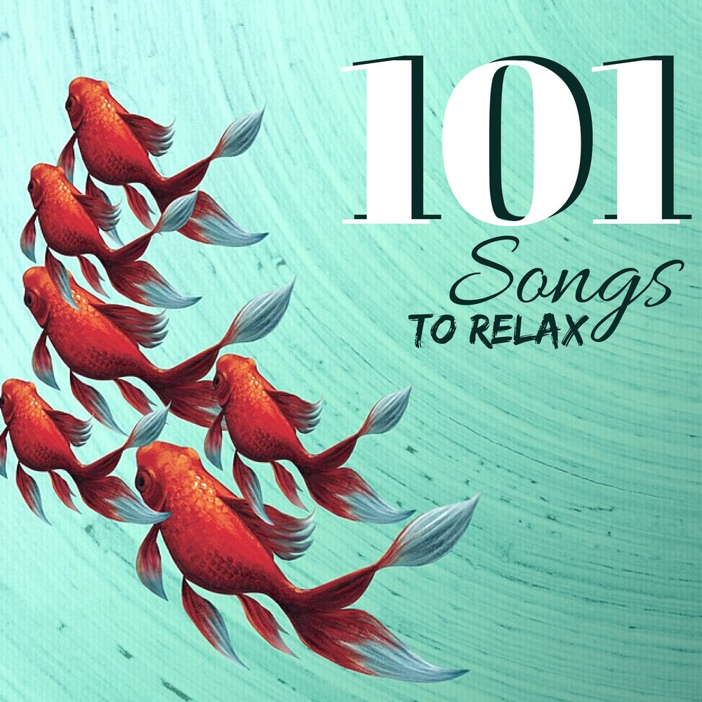 Relax today
