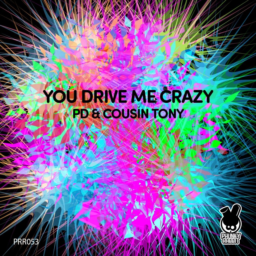 Перевод песни this love drives me crazy. You Drive me Crazy. Driving me Crazy Mix. Paul chasa - Drive me Crazy. You Drive me Crazy перевод.