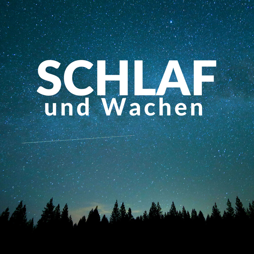 Schlaf