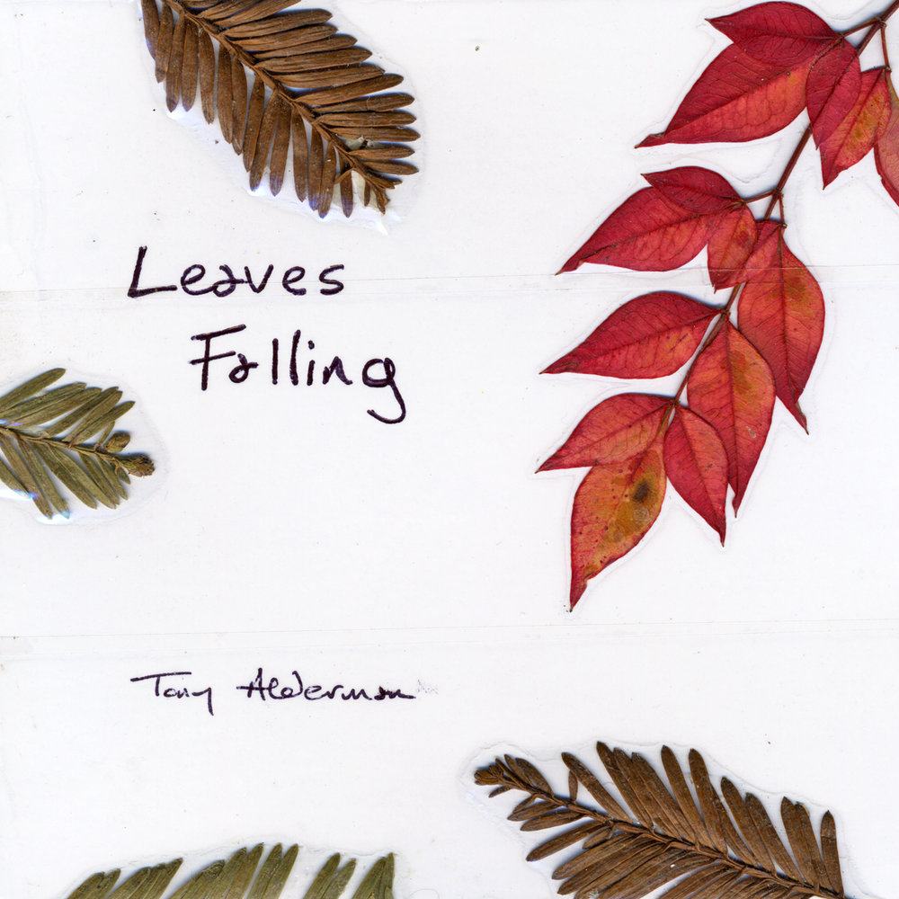 Тони лист. Mehdi-Falling-leaves. Falling leaves.