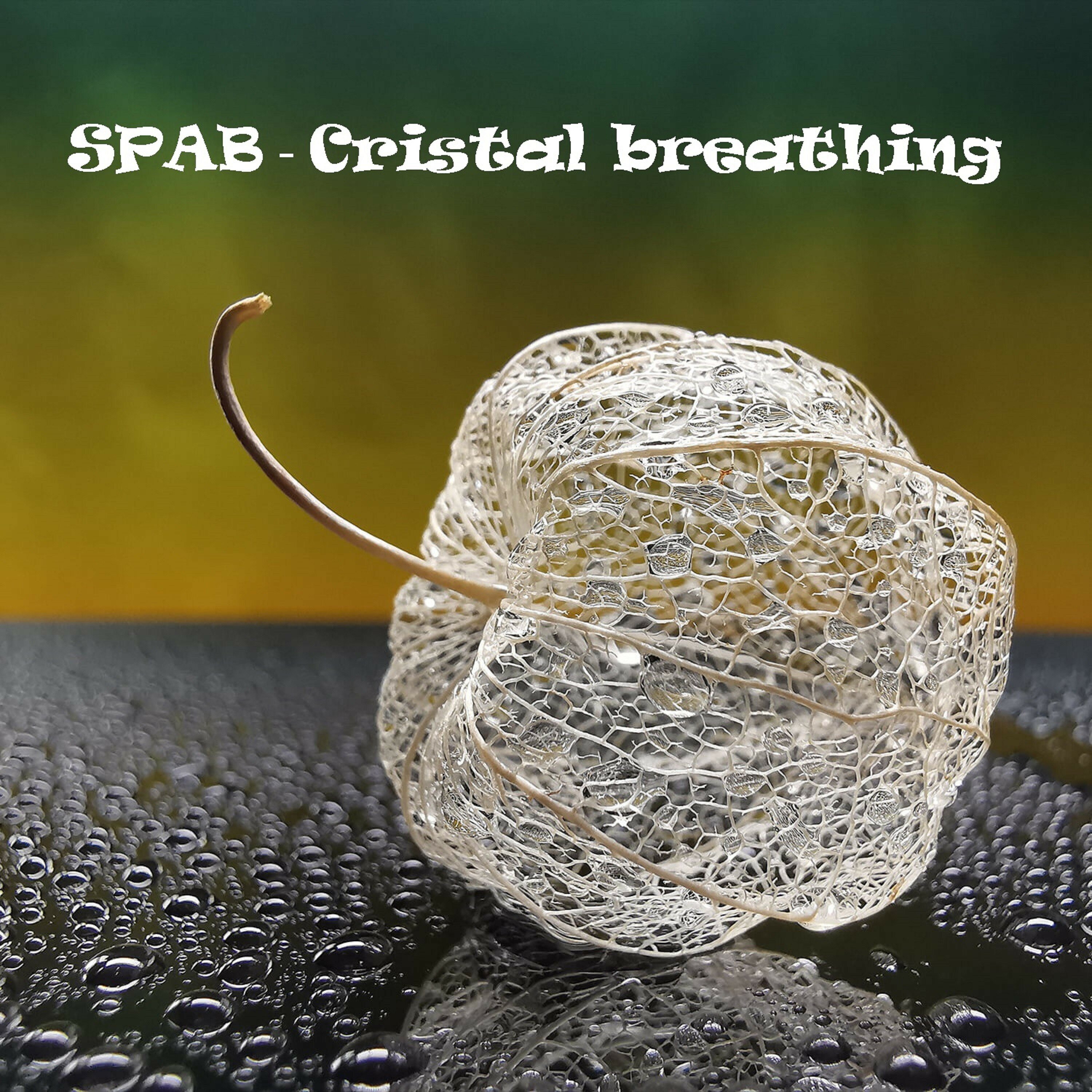 SPAB
