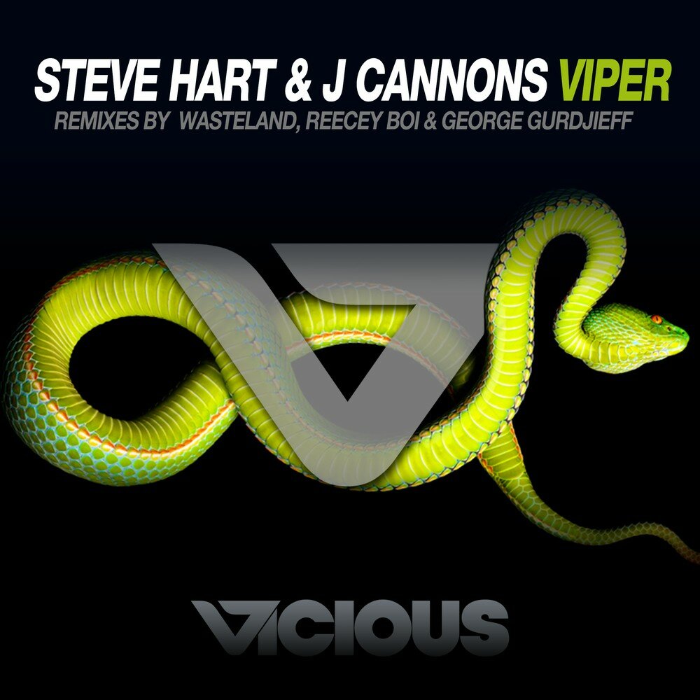 Вайпер текст. Steve Hart. Viper песни. Viper музыка. Steve Hart - just Jazz (sponsored by Mocan Mall) -.