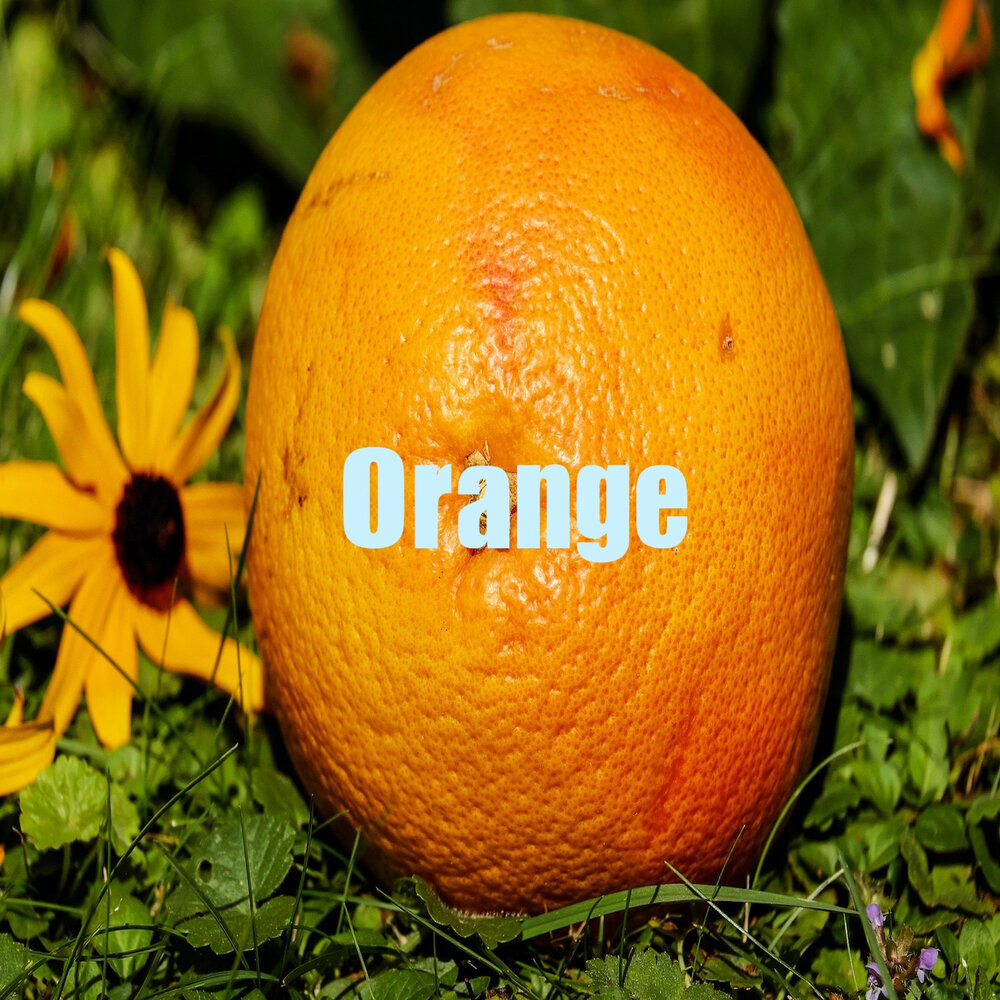 Песни orange. Апельсин или оранж песня. Рингтон из Orange. Детская песня про оранжевый Гадкий апельсин.