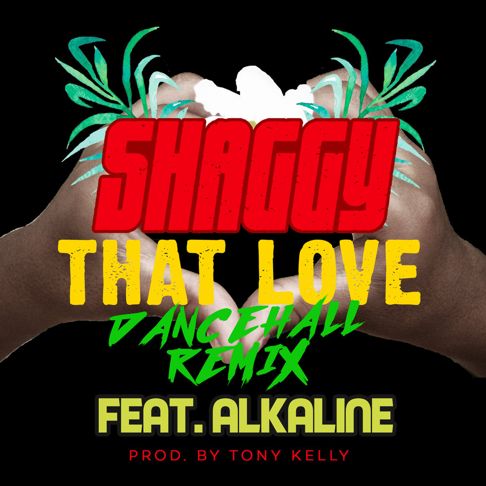 Dancehall Love. Dancehall Reggae Riddim. Dancehall Reggae Riddim Cover.