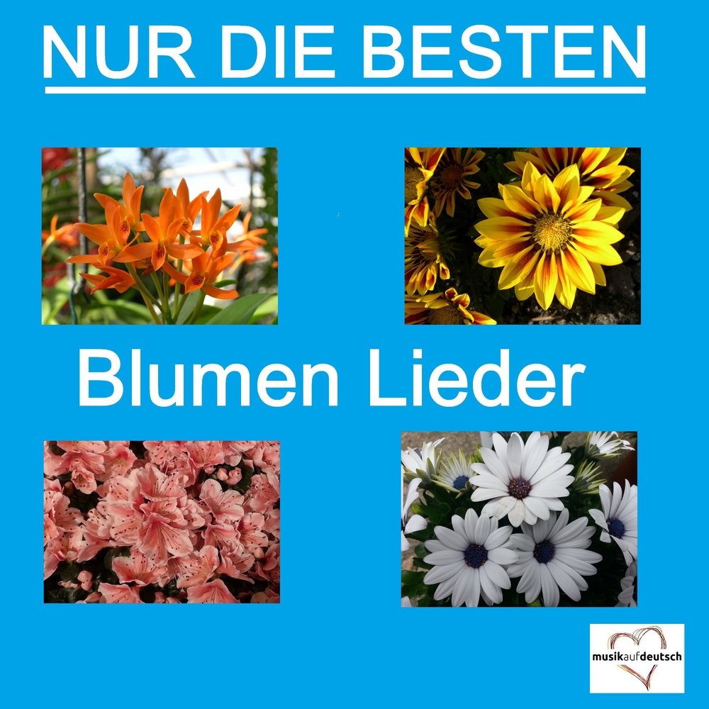 Die blumen sind