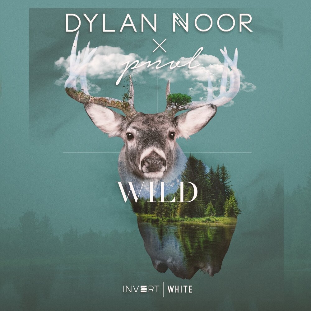 Wild слушать. Dylan Wild.