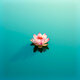 Meditation Music