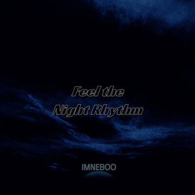 cover for track Feel the night rhythm of artist Imneboo