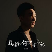王小宁