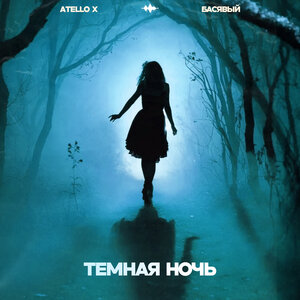 Темная ночь
