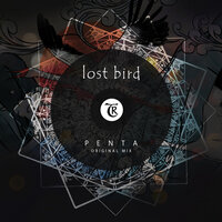 LOST BiRD