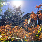 Delta
