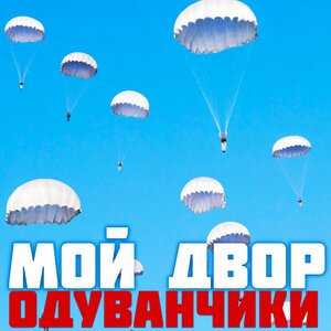 Одуванчики